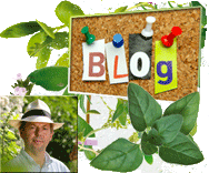 Remo Vetter Remo Vetter A.Vogel Blog