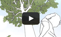 Die Marke A.Vogel A.Vogel Videos