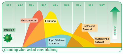 Die Parasiten und die Gallenblase was zu machen,