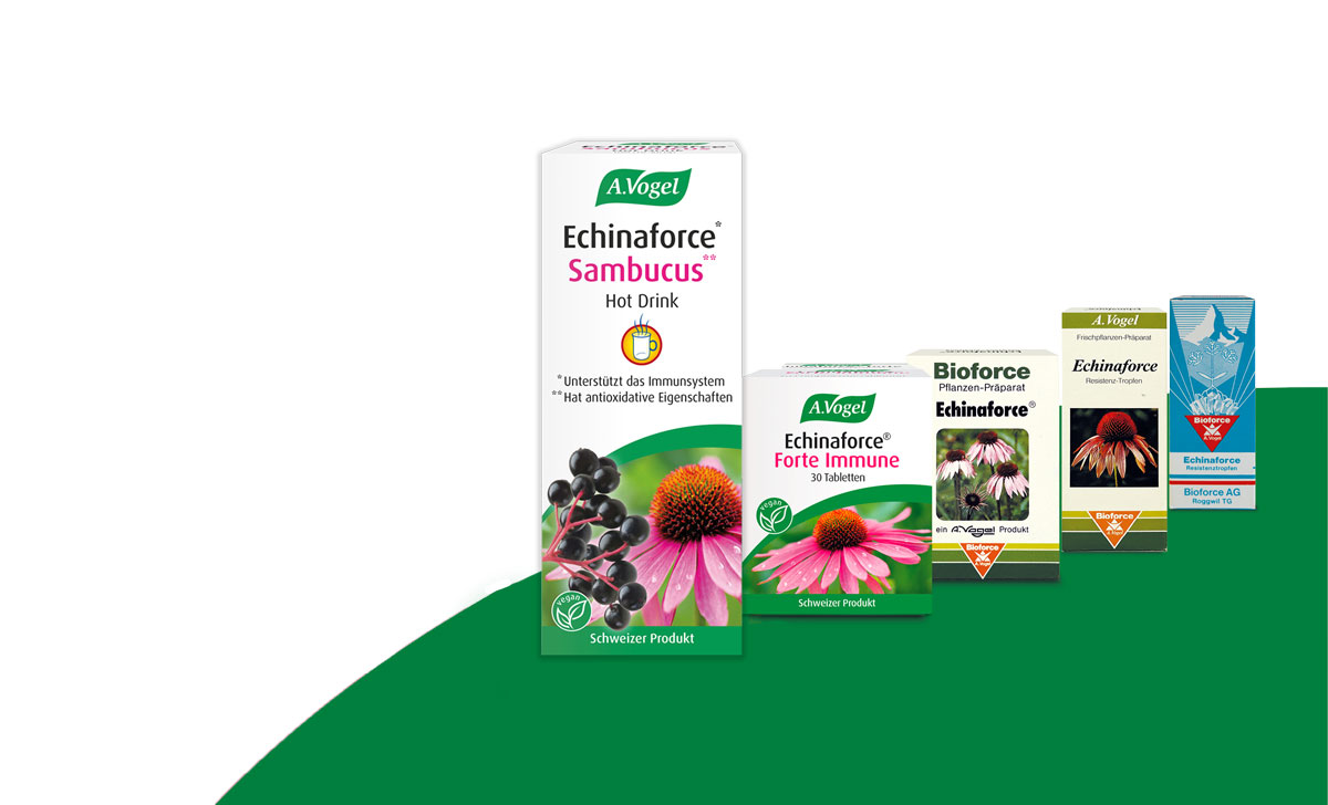 Echinaforce Produkte Entwicklung