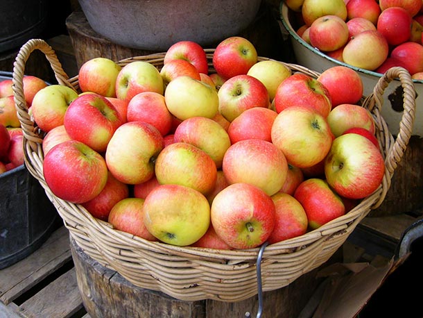 Bildbeschreibung: Ein Korb gefüllt mit wunderbar roten Äpfeln steht auf einem Holzboden.