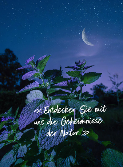 Nacht, Mondschein "Entdecken Sie die Geheimnisse der Natur"