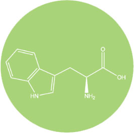 L Tryptophan Symbol