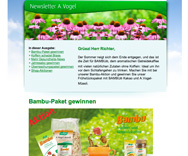 Newsletter Newsletter