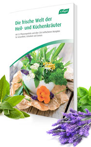 Winterfibel A.Vogel Buch Winterfibel
