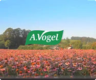 A.Vogel Video Video A.Vogel
