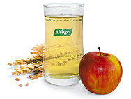 Ernährung nach A.Vogel Glas Molkosan Apfel