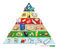 Lebensmittelpyramide Lebensmittelpyramide