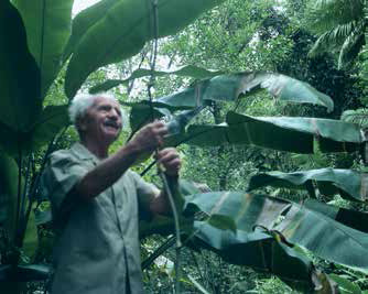 Alfred Vogel im Dschungel in Guatemala
