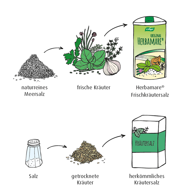 Der Frische-Unterschied Kräutersalz