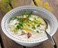 Sommerküche mit Joghurt Joghurt Rezepte