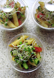 Nudelsalat mit Radieschensprossen