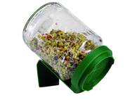 Keimglas Keimglas mit Sprossen