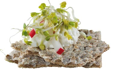 Sprossen selbst ziehen Knächebrot Sprossen