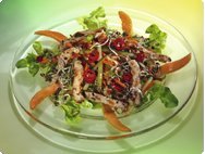 Sommersalat mit Putenstreifen, Papaya und Radieschensprossen Sommersalat mit Putenstreifen, Papaya und Radieschensprossen