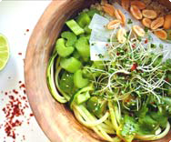 Sprossen-Rezepte im Blog Sprossen-Rezepte
