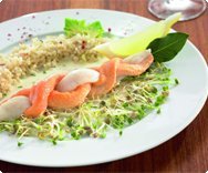 Fischzöpfchen Fischzöpfchen von Lachsforelle & Zander