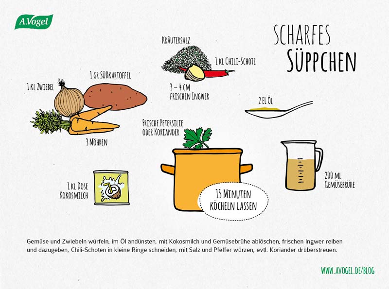 Gewürze Gemüsesuppe Gewürze Gemüsesuppe