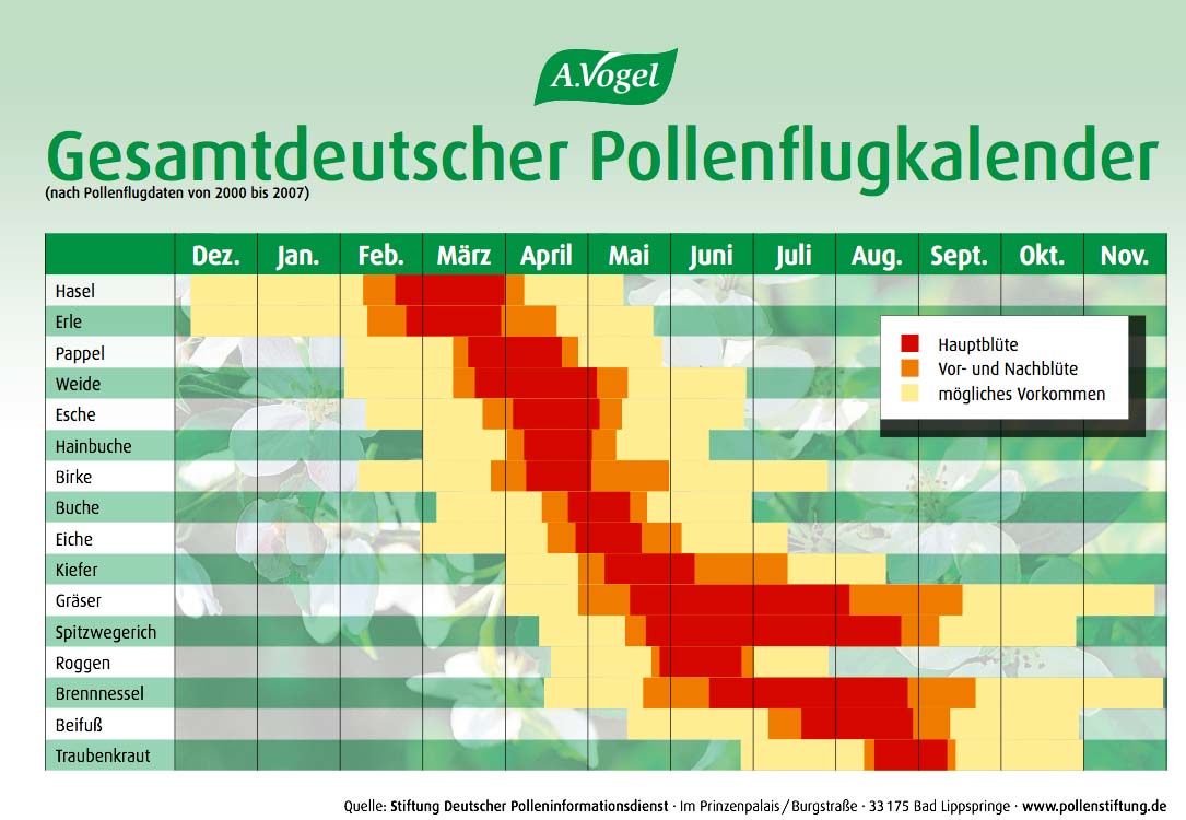 Pollenflugkalender