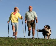 Tierische Helfer Senioren Hund