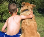 Tierisch gesund Junge Hund