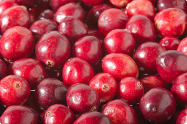 Cranberries Beeren