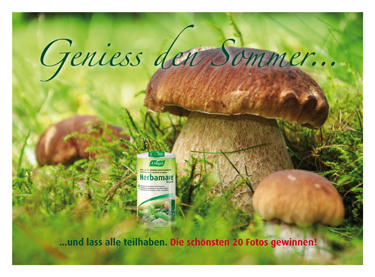 Herbamare Fotowettbewerb Pressekarte Herbamare